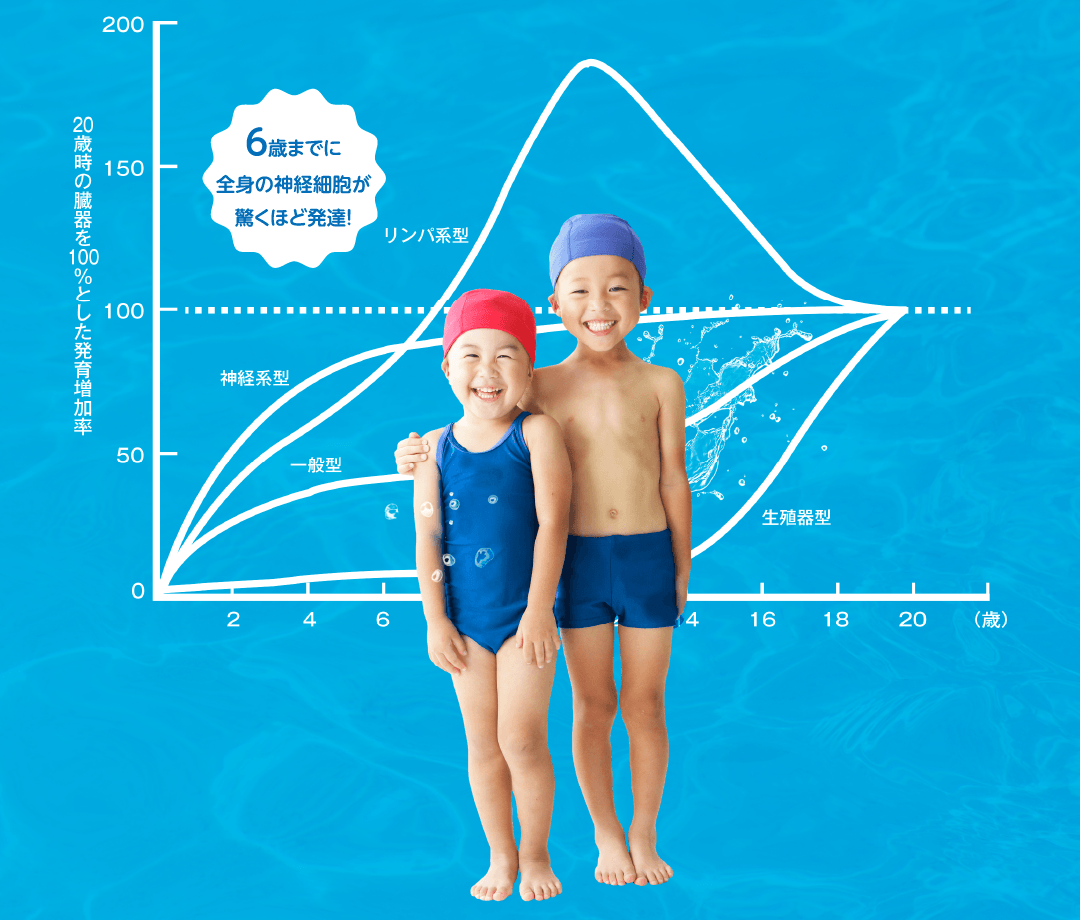 6歳までに全身の神経細胞が驚くほど発達